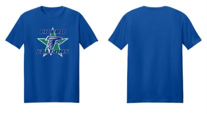 Picture of Falcons Softstyle T-shirt