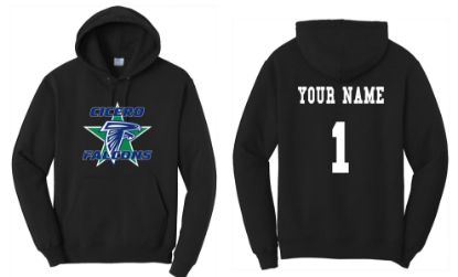 Picture of Personalized Falcons Hoodie