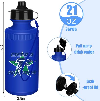 Picture of Falcons Blue Sports Bottle